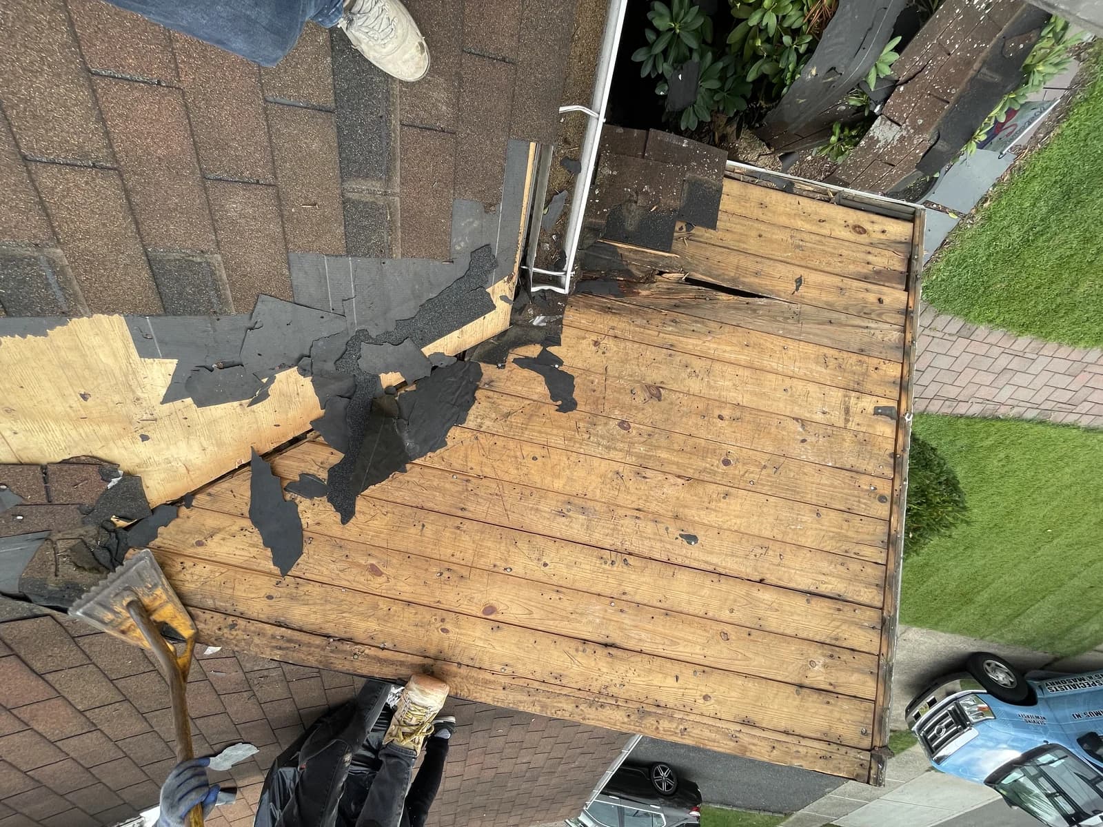 Roof before replacement — old shingles torn off, water-damaged decking exposed