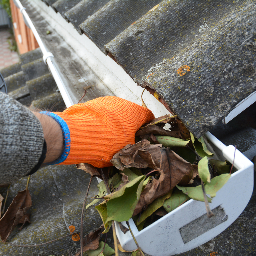 We handle everything from installations and repairs to cleaning and gutter guard installations, keeping your home protected year-round.